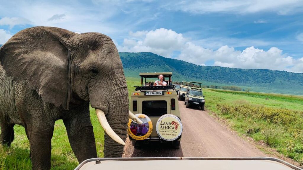 Welcome to Land Africa Safaris Welcome to Land Africa Safaris