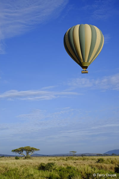 dfs info@landafricasafaris.co.tz
