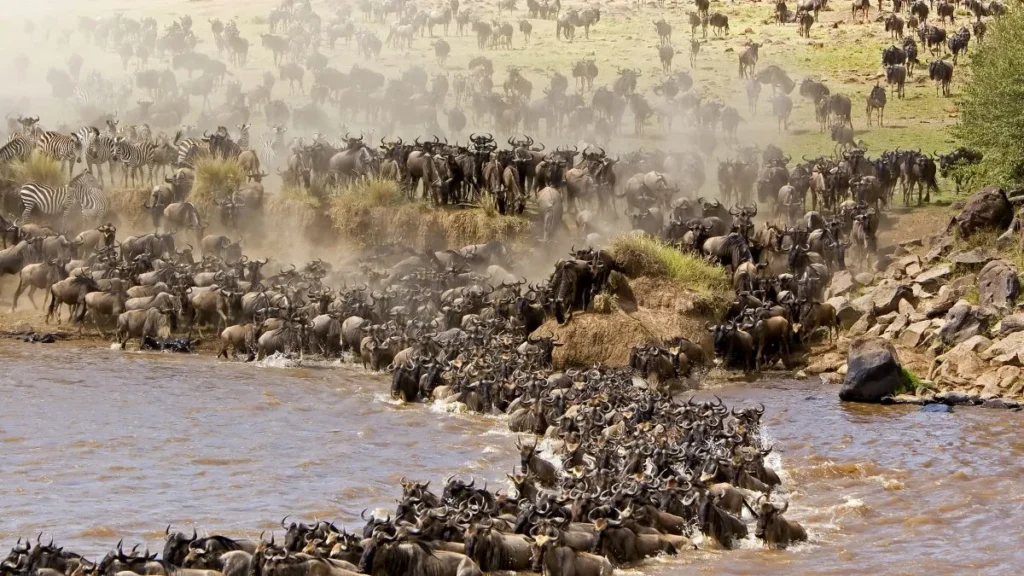 great-migration1