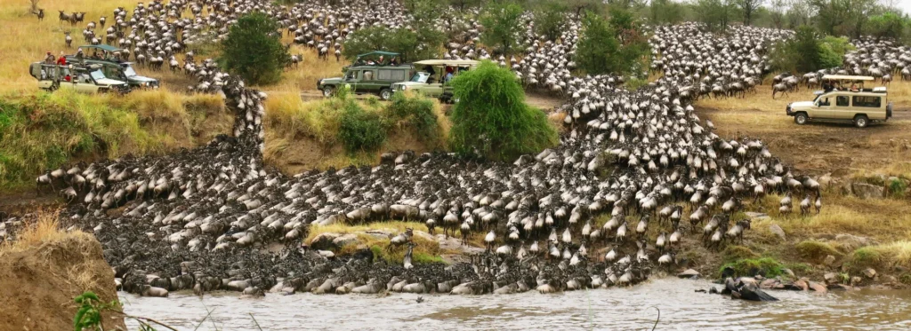greatmigration2